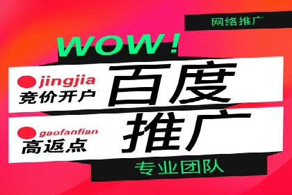 百度竞价推广代运营成功案例：某汽车品牌线上营销策略揭秘